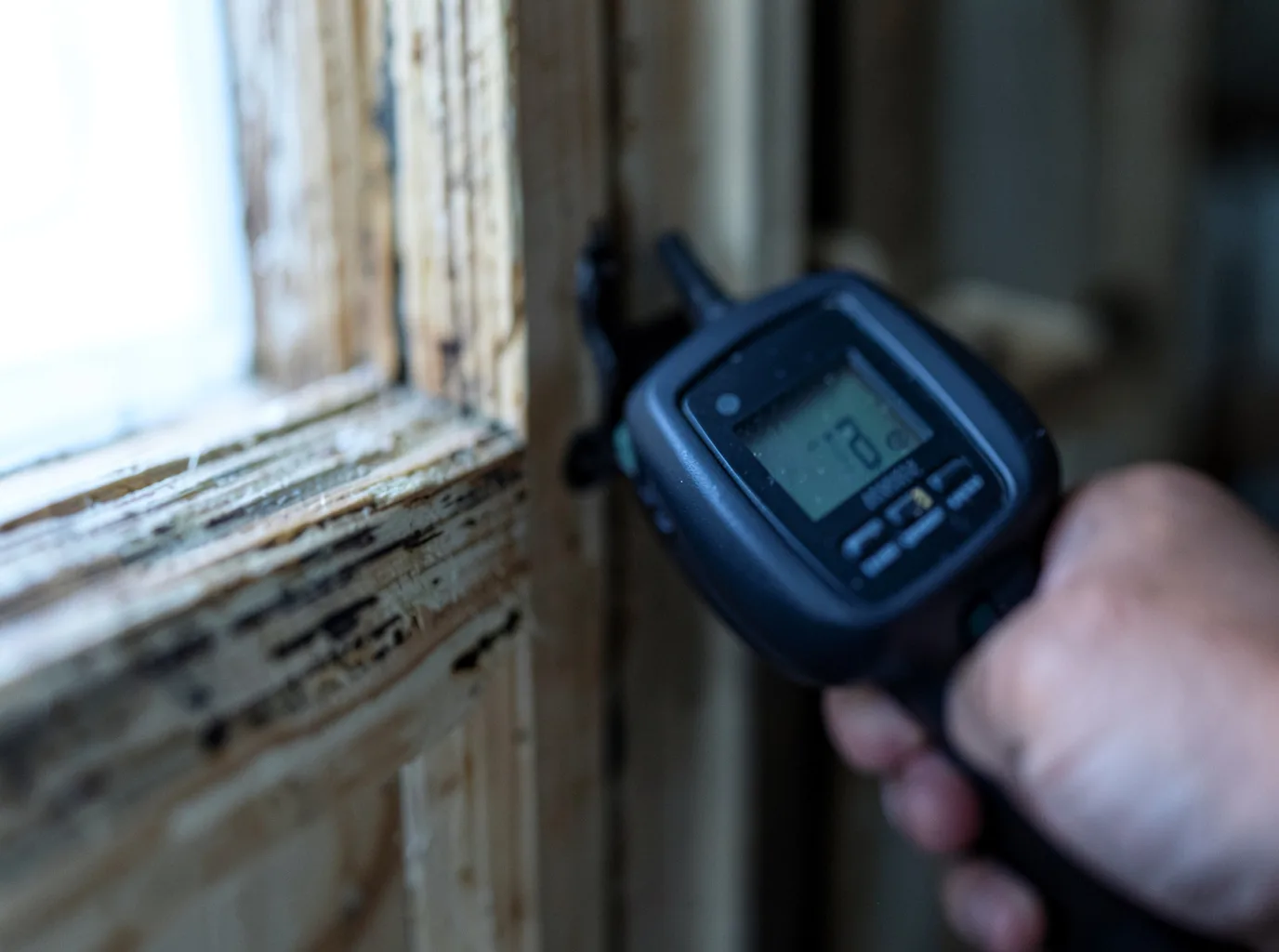 Moisture Inspection And Documentation in Somerville, TN